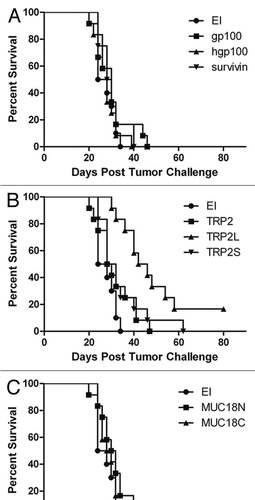 Figure 4 Survival of C57BL/6 mice with subcutaneously implanted GL26 tumor cells. Within 2-week mice received in the right flank 2 injections of CHA-OST expressing a target antigen. EI was the negative control CHA-OST strain transformed with pEAI-S54 plasmid without an antigen. Tumor cells were implanted 7 days after the last immunization. Kaplan-Meier curves displayed survival data from groups of 12 mice. Cumulative results of two independent experiments conducted with the same methodology are shown. Statistical analysis: TRP2L versus EI (p < 0.0001), TRP2L versus TRP2 (p = 0.002), and TRP2L versus TRP2S (p = 0.018). The vaccinations were performed with CHA-OST expressing (A) gp100, hgp100 and survivin, (B) TRP2, TRP2L and TRP2S, (C) MUC18N and MUC18C.
