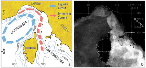Figure 4. Surface circulation in the Ligurian Sea. (a) Scheme of the main current systems, with the steady Ligurian Circuit (colder) and the inflowing Tyrrhenian Current (warmer). (b) Satellite infra-red thermal imagery (AVHRR NOAA 9): the whitest areas are the warmest.