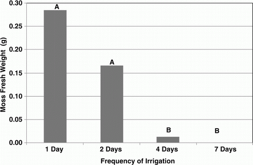 Figure 3.  Fresh weight of moss leaflets in a 7.5-cm diameter pot of creeping bentgrass under daily, 2-, 4-, and 7-day irrigation frequencies in the second of two experiments. Each bar represents an average of four replicates at two different irrigation rates 100% and 75% of open pan evaporation for a total of n=8. Bars with different letter are significantly different at alpha=0.05.