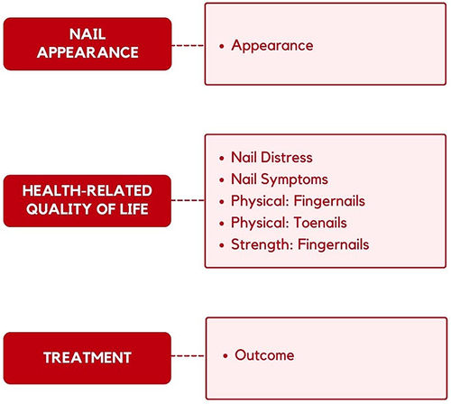 Figure 2 Framework for the NAIL-Q.