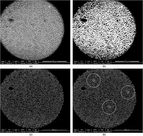 Figure 9. Distributions of nucleation sites on particle #1 after heterogeneous condensation. (a) ESEM scanned image; (b) image processing after binarization; (c) boundaries acquisition by Canny edge detection; (d) droplet detection based on Hough transform and random selection of three sample circles to calculate the number of droplets.