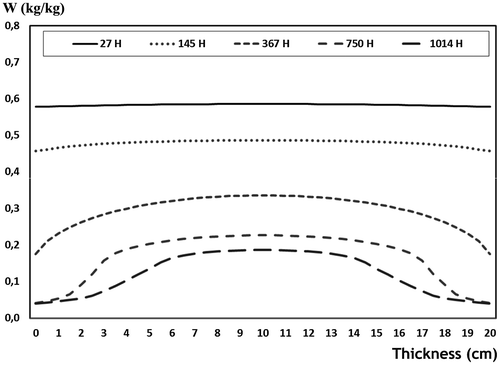 Figure 7. Autoclaved cellular concrete (ACC) water content drying simulation hydric profiles.