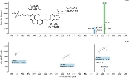 Figure 6. Precursor and product ion spectra for the side chain-shortened fasiglifam metabolite M13.
