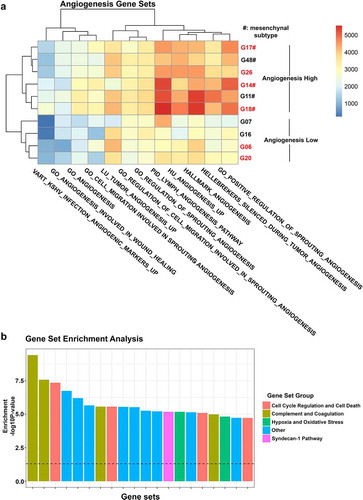 Figure 3. Gene expression analysis of 10 GBM cell lines. (a) Heatmap depicting single sample gene set enrichment of angiogenesis-related gene sets in 10 GBM cell lines. (b) Gene set enrichment analysis showing the 20 most overrepresented gene sets between YKL-40High and YKL-40Low cell lines divided into the groups: Cell Cycle Regulation and Cell Death; Complement and Coagulation; Hypoxia and Oxidative Stress; Other; and Syndecan-1 pathway. A full list of differentially enriched gene sets can be found in Supplementary file 5. Cell lines in red are considered YKL-40High