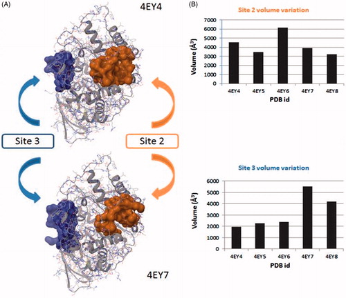 Figure 3. (A) Surface representation of pockets that belong to site 2 (orange) and site 3 (blue). Differences between the volume in the absence and presence in the CAS/PAS cavity of inhibitor are highlighted (4EY4 is AChE in the apo state, 4EY7 is AChE crystallised with donepezil). (B) Plots of volume measured in some structures crystallised in the same conditions for site 2 (orange) and site 3 (blue).