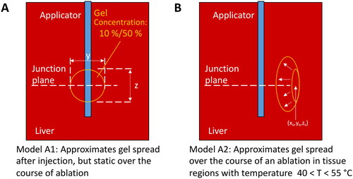 Figure 5. Geometries illustrating approximations used for modeling the impact of potential spread of the HeatSYNC gel on ablation profiles under in vivo conditions. (A) Model A1 – HeatSYNC gel spreads after injection, but remains static over the course of the ablation. (B) Model A2 – HeatSYNC gel spreads during the course of an ablation in tissue regions with temperature in the range 40 < T < 55 °C.