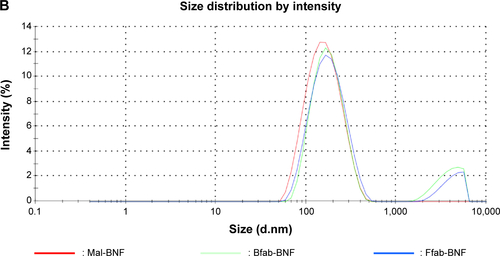 Figure S4 IONP size distribution profile.Notes: As measured by dynamic light scattering, the intensity size distributions of (A) CMD and (B) BNF IONPs are characterize by mean peaks of 118 nm and 172 nm, respectively. The red lines are maleimide-conjugated IONPs, the light blue lines are negative control Botulifab-conjugated IONPs, and the dark blue lines are the Farletuzufab-conjugated IONPs.Abbreviations: IONPs, iron oxide nanoparticles; fab, an engineered monoclonal antibody fragment; Ffab, Farletuzufab, engineered from monoclonal antibody Farletuzumab; Bfab, Botulifab anti-botulinum toxin fab fragment; BNF, bionized nanoferrite; CMD, carboxymethyl-dextran; Mal, maleimide.