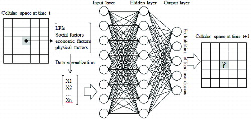 Figure 1. Processing architecture of ANN-CA model coupling with LPIs.