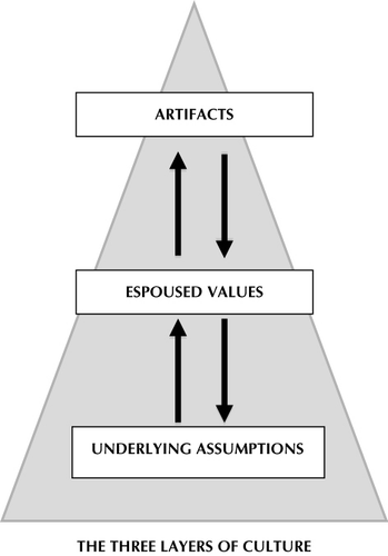 FIGURE 1 Schein's model of organizational culture.