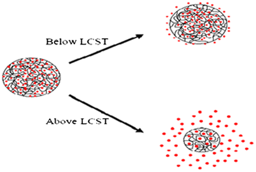 Figure 9. Effect of temperature on drug release from a thermo-sensitive hydrogel.