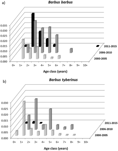 Figure 3. Age-based demographic trend for the European barbel in the three census periods in the Paglia River, and comparison with the Tiber barbel demographic trend in the same site.