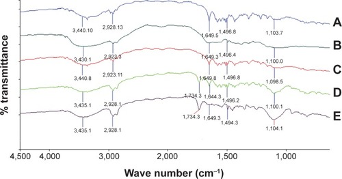 Figure 6 FT-IR spectra of pure ATR and cationic charge stabilized nanocrystal formulations.Notes: (A) pure ATR, (B) pure chitosan, (C) pure Labrasol®, (D) ATR-L, (E) ATR-CSL. (Labrasol®; Gattefosse, Saint-Priest Cedex, France).Abbreviations: FT-IR, Fourier transform-infrared; ATR, atorvastatin; ATR-L, atorvastatin nanocrystals stabilized by Labrasol® alone; CS, chitosan; CSL, low molecular weight chitosan.