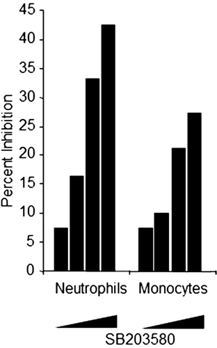 Figure 2.  Flow cytometric-based phagocytosis method test results. Whole blood was treated with 0.2, 1, 5, and 20 µM SB203580 prior to addition of fluoroscein-labeled E. coli. Graph depicts percent inhibition (y-axis) of MFI in SB203580-treated monkey whole blood relative to untreated control samples for neutrophils and monocytes. Data represent three independent assay days with blood from eight monkeys tested per day at each of the four SB203580 concentrations (escalating from left to right).