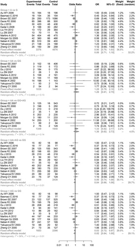 Figure 4. Meta-analysis of associations between genetic models of tumor necrosis factor alpha-308 G/A polymorphisms and multiple myeloma risk.