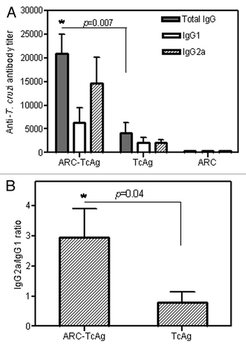 Figure 1. Induction of humoral response to T. cruzi in vaccinated C3H/HeN mice. (A) ELISA analysis of antibody isotypes 3 weeks after the last immunization. (B) Ratio of IgG2a to IgG1 antibody titers. Data represent mean ± SEM of two independent experiments.