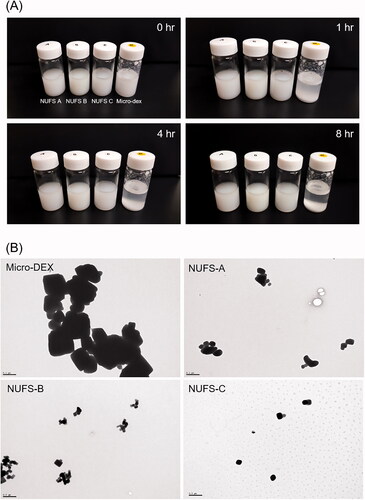 Figure 1. (A) Dispersion of dexamethasone nanoparticles and micronized dexamethasone powder in water over time. (B) Transmission electron microscopy images of micronized dexamethasone powder and dexamethasone nanoparticles. Scale bar, 500 nm