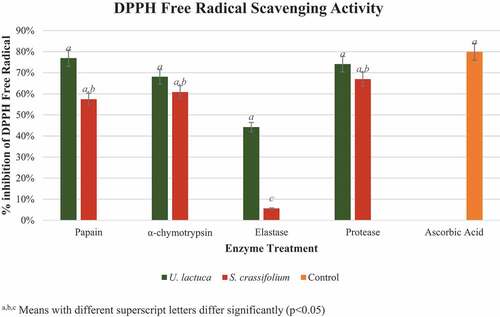 Figure 6. DPPH radical scavenging activity of protein hydrolyzates of Ulva lactuca and Sargassum crassifolium by using papain, α-chymotrypsin, elastase, and protease enzyme treatments. a,b, Means with different superscript letters differ significantly (p < 0.05).