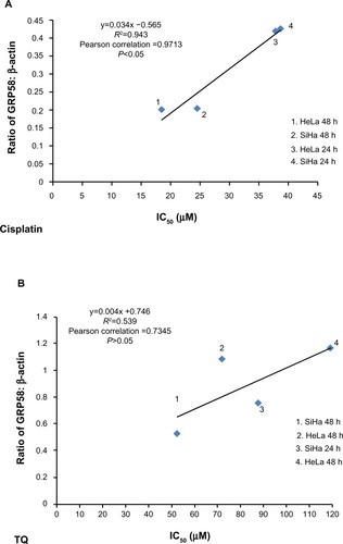 Figure 6 Correlation between density values of the ratio of GRP58 to β-actin and cytotoxicity (IC50 values) in HeLa and SiHa cells following treatment with cisplatin (A) and thymoquinone (B) using Pearson’s correlation method for at least three independent experiments. P<0.05 was considered to be statistically significant.