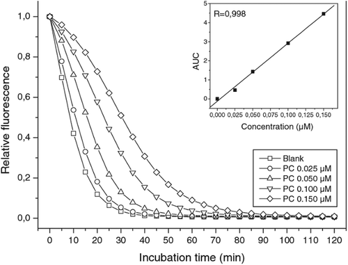 Figure 5. Kinetics of fluorescein (FL) quenching with different concentrations of Phycocyanobilin (PCB) versus blank. The reaction mixture contains 0.05 µM FL and 4 µM AAPH, with PCB ranging from 0.025 to 0.150 µM. (Inset) Linear plot of the net AUC versus PCB concentrations (Serena et al., Citation2010).