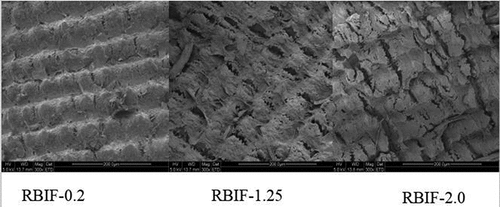 Figure 1. SEM images of exterior surface of modified rice bran fiber treated with 0.2%, 1.25%, and 2.0% H2SO4 combined with 1.25% KOH regimes