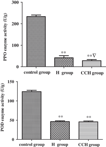 Figure 4. Effect of different pretreatment on brown-related enzyme activity of Hypsizygus marmoreus. ** P < 0.01 indicates a statistical difference between control and treatment groups. ▽ P < 0.05 indicates a statistical difference between H and CHH groups. Values are mean ± SD. H group: heating group; CHH group: color protection, hardening, and heating group