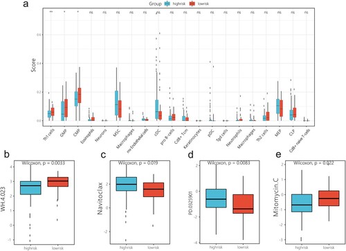 Figure 9. Immune score and the half maximal inhibitory concentration in high- and low-risk groups. (a) Correlation between immune cells and risk score. (b) Correlation between half maximal inhibitory concentration of chemotherapeutic drugs and risk score. ns: p > 0.05. *p < 0.05, **p < 0.01.