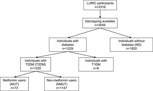 Figure 1 Flow chart of subjects per investigated group.Abbreviations: T2DM, type 2 diabetes mellitus; T1DM, type 1 diabetes mellitus.