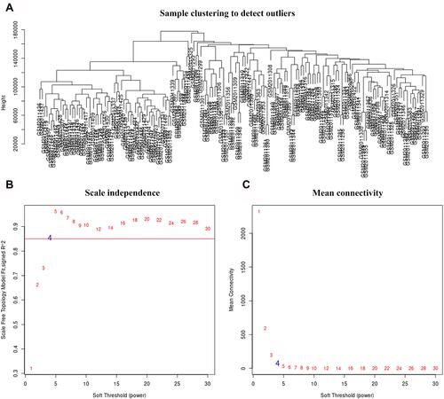 Figure 2 Use Weighted Gene Co-expression Network Analysis (WGCNA) to determine the soft threshold power (β). (A) Clustering’s expression data was from the differentially expressed genes between HCC (n = 115) and adjacent normal (n = 52) tissues. (B) Scale-free topology model fitting index (R2, y-axis). (C) Average connectivity of diverse soft-thresholding powers, where the red Arabic numerals indicate the soft thresholds. We determine β = 4, so as to balance the maximizing R2 and maintaining a high average number of connections.