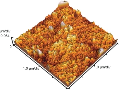 Figure 10 Atomic force microscopy of grafted polystyrene under 30 KGy (scale: 1 × 1 μm).