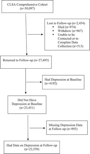 Figure 1. Flow chart of participants included in the analysis
