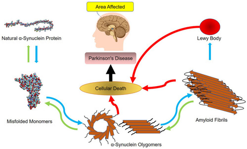 Figure 1 The mechanism underlying the development of Parkinson’s disease.