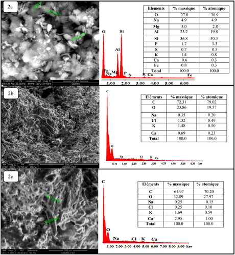 Figure 2. Scanning electron microscopy (SEM) images coupled by EDX of each filter material. (a) Pyrophyllite (PY); (b) corn cob powder calcined (CCPC); (c) walnut shells powder (WSP).