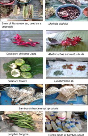 Figure 3. Some of the wild edible fruits found in northeast states of India.
