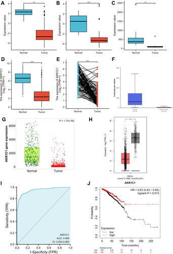 Figure 2 Validation of the expression level and clinical significance of AKR1C1. Expression comparisons of AKR1C1 between breast cancer and normal control in GSE22358 (A), GSE9014 (B), GSE8977 (C), unpaired TCGA-BRCA (D), and paired TCGA-BRCA (E). Expression of AKR1C1 in TCGA-BRCA validated by UALCAN (F), TNM plot (G), and GEPIA (H). The ROC curve of AKR1C1 on diagnosing breast cancer (I). The Kaplan–Meier curve of AKR1C1 on overall survival of TCGA-BRCA (J). *P<0.05; **P<0.01;***P<0.001.
