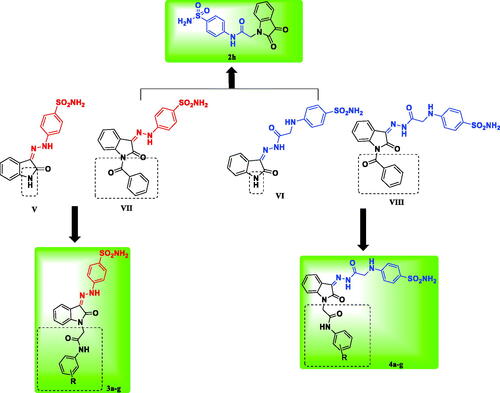 Figure 2. The rational of the newly synthesised isatin-based sulphonamide derivatives 2h, 3a-g and 4a-g.