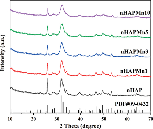 Figure 2 X-ray diffraction patterns of nHAP and nHAPMn.
