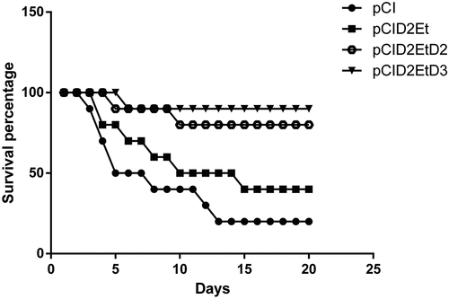 Figure 5. Survival of mice immunized after challenge with a lethal dose of DENV-2. Groups of 3-week-old female Swiss mice were immunized with pCI, pCID2Et, pCID2EtprMD2 or pCID2EtprMD, challenged intracerebrally with 100 LD50 of DENV-2 and monitored daily for 21 d