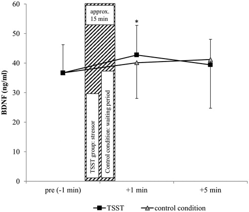 Figure 2. BDNF timesheet of 32 healthy, male subjects related to the use of a psychosocial stressor and control condition. *Significant vs. baseline (pre stressor). Shown are the mean values with standard errors. Time information is related to the use of stress. Coarse hatching: stress induction/waiting period; black squares: TSST; gray triangles: control condition.