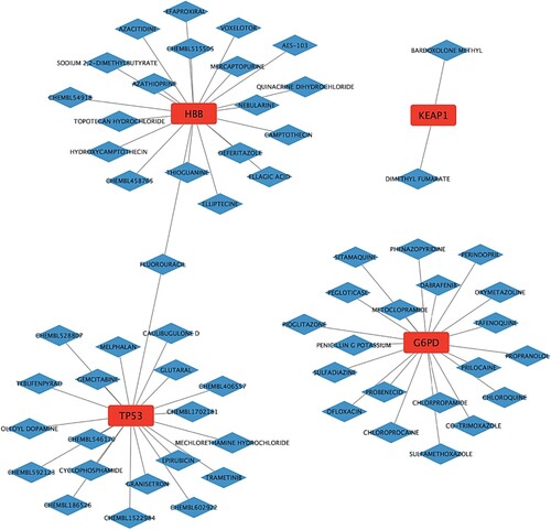 Figure 6. Regulatory network between CDE-OSRGs and targeted drugs. CDE-OSRGs are represented by red nodes, targeted drugs are represented by blue nodes, and the lines between them represent interaction pairs.