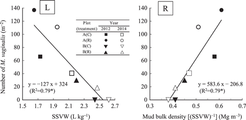 Figure 1. Relationship between the number of M. vaginalis and settled soil volume in water (SSVW) (L) and mud bulk density [(SSVW) −1] (R). Regression lines are shown in the figures. Each year, the soil sample was collected in late June, and the plant material of M. vaginalis was sampled in late July. Note. * indicates significant correlation at the 5% level.