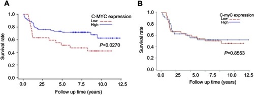 Figure 2 (A) Kaplan–Meier survival curves associated with c-MYC expression among oral cancer patients in T III/IV stage. P-values obtained from log-rank tests for the homogeneity of Kaplan–Meier curves between high and low c-MYC expressions was 0.0270. (B) Kaplan–Meier survival curves associated with c-myC expression among oral cancer patients in AJCC III/IV stage. P-values obtained from log-rank tests for the homogeneity of Kaplan–Meier curves between high and low c-myC expressions was 0.8553.