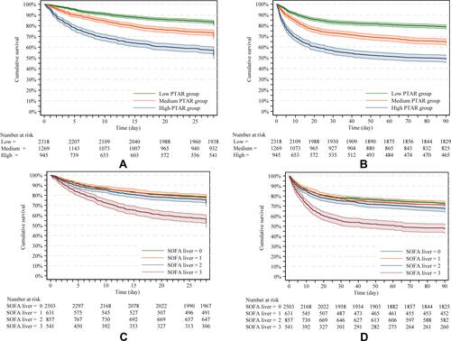 Figure 2 Kaplan–Meier curves stratified by different PTAR grades and SOFA-liver grades. Kaplan–Meier curves of (A and C) 28-day mortality and (B and D) 90-day mortality in all the patients with sepsis included in our study.