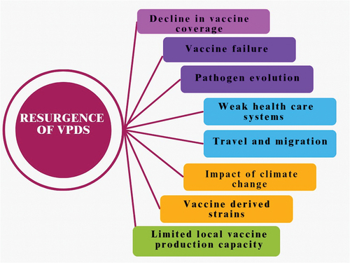 Figure 1. Schematic representation of factors that contribute to reemergence and resurgence of VPDs in Africa.