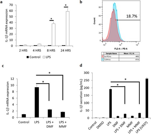 Figure 1 DMF and MMF inhibit the production and release of LPS-mediated IL-1β release from NK92 cells. (A) Time-dependent treatment of NK92 cells with 10 μg/mL LPS upregulates the expression of IL-1β mRNA. *P values (<0.01) compare the mRNA expression in LPS-activated cells (white columns) versus the background control (black columns). (B) Flow cytometry showing representative experiment of the binding of isotype control antibody (red color) and antibody against TLR4 (blue color). Percentages of positive cells are shown. (C) Comparison of mRNA expression of IL-1β among LPS-stimulated cells and those treated with LPS plus DMF or MMF. *P<0.01. (D) LPS-induced IL-1β release and its inhibition by DMF or MMF, as detected by ELISA assay. NK92 cells were incubated with 10 μg/mL LPS either alone or in the presence of 100 μM DMF or MMF in media containing 200 IU/mL IL-2 for 24 h. *P values (<0.01) compare IL-1β release in LPS-activated cells vs cells incubated with LPS plus DMF or MMF. U937 cells treated with 10 μg/mL LPS for 24 h were used as a positive control in these experiments.