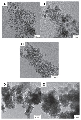 Figure 1 TEM images of FePt NPs synthesized with different Fe/Pt molar ratios and surface coatings.Notes: (A) Fe:Pt = 3:1, OA/OA; (B) Fe:Pt = 1:1, OA/OA; (C) Fe:Pt = 1:3, OA/OA; (D) Fe:Pt = 1:1, Cys; (E) Fe:Pt = 1:3, Cys.Abbreviations: TEM, transmission electron microscopy; NPs, nanoparticles; OA/OA, oleic acid/oleylamine; Cys, cysteine.