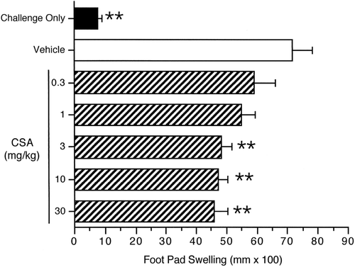 Figure 3.  Effects of CSA exposure on the DTH response to C. albicans. Mice were administered either vehicle (corn oil) or CSA PO daily for 28 days. Mice were sensitized on Day 21 with C. albicans. The right footpad of each mouse was pre-measured and challenged with chitosan antigen on Day 29, with post-measurement occurring 24 [± 2] h after challenge. The background footpad swelling was determined in a group of mice that were challenged but not sensitized (challenge only). The data are expressed as footpad swelling (mm × 100). Values represent the mean (± SE) of two combined studies, each containing 7–8 animals per group. Vehicle control means between studies were not statistically significantly different (78.4 [± 8.0] vs 65.1 [± 10.4] mm × 100). ** p < 0.01.