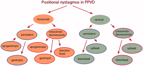 Figure 4. New classification is suggested, based on the dynamics of the nystagmus (persistent vs. crescendo, decrescendo) and on the plane of the provoked nystagmus (vertical vs. horizontal).