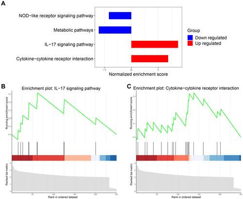 Figure 4 Upregulation of immune-related pathways in the high-glycolysis group. (A) The downregulated and upregulated pathways were obtained through gene set enrichment analysis (GSEA). (B and C) The GSEA charts showed the interleukin-17 (IL-17) signaling pathway and cytokine-cytokine receptor interaction were significantly upregulated.