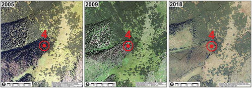 Figure 17. Aerial photographs of the locality 4 from years 2005, 2009 and 2018 (source: NAPANT, own creation)