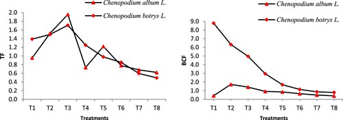 Figure 5. The obtained translocation factor (TF) and bioconcentration factor (BCF) for the examined two halophyte plants (3 replicates).